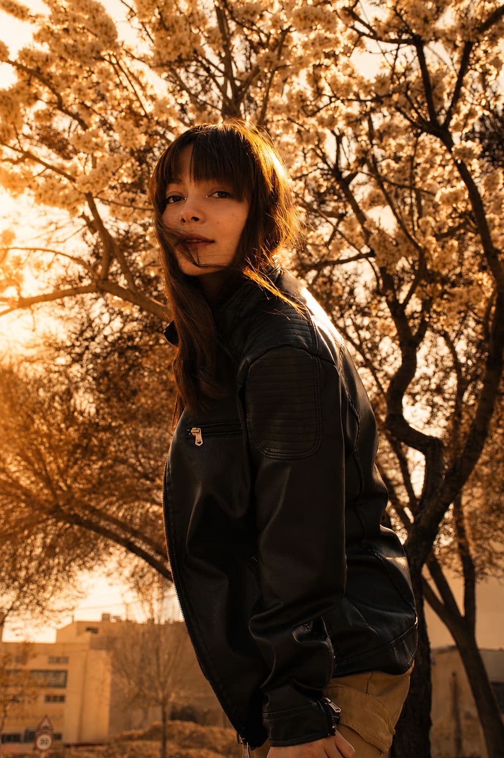 Mobina, AG Models